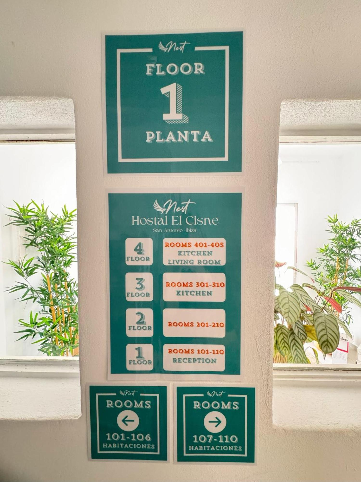 Cisne By Nest Hostel Sant Antoni de Portmany Zewnętrze zdjęcie