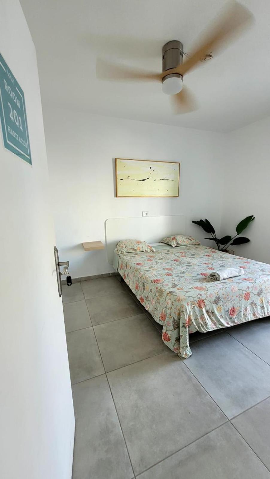 Cisne By Nest Hostel Sant Antoni de Portmany Zewnętrze zdjęcie